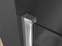 Glaswerk Westfalen - Maja 120x195 cm Shower Door, Clear Glass