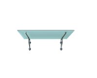 Glaswerk Westfalen - (LB) 200x90 cm melkglas luifel incl....