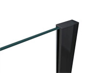 Glaswerk Westfalen - LiLy 100x200 cm Walk-in Shower, Clear Glass, Black