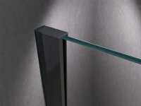 Glaswerk Westfalen - LiLy 160x200 cm inloopdouchescherm, satijnen afwerking, zwart