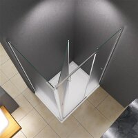 Glaswerk Westfalen- Clara 100x90x195cm Eck Duschkabine Satiniert+DT