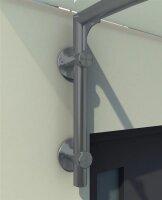 Glaswerk Westfalen - (L) 200x90 cm helder glazen luifel incl. steun in RAL 7016